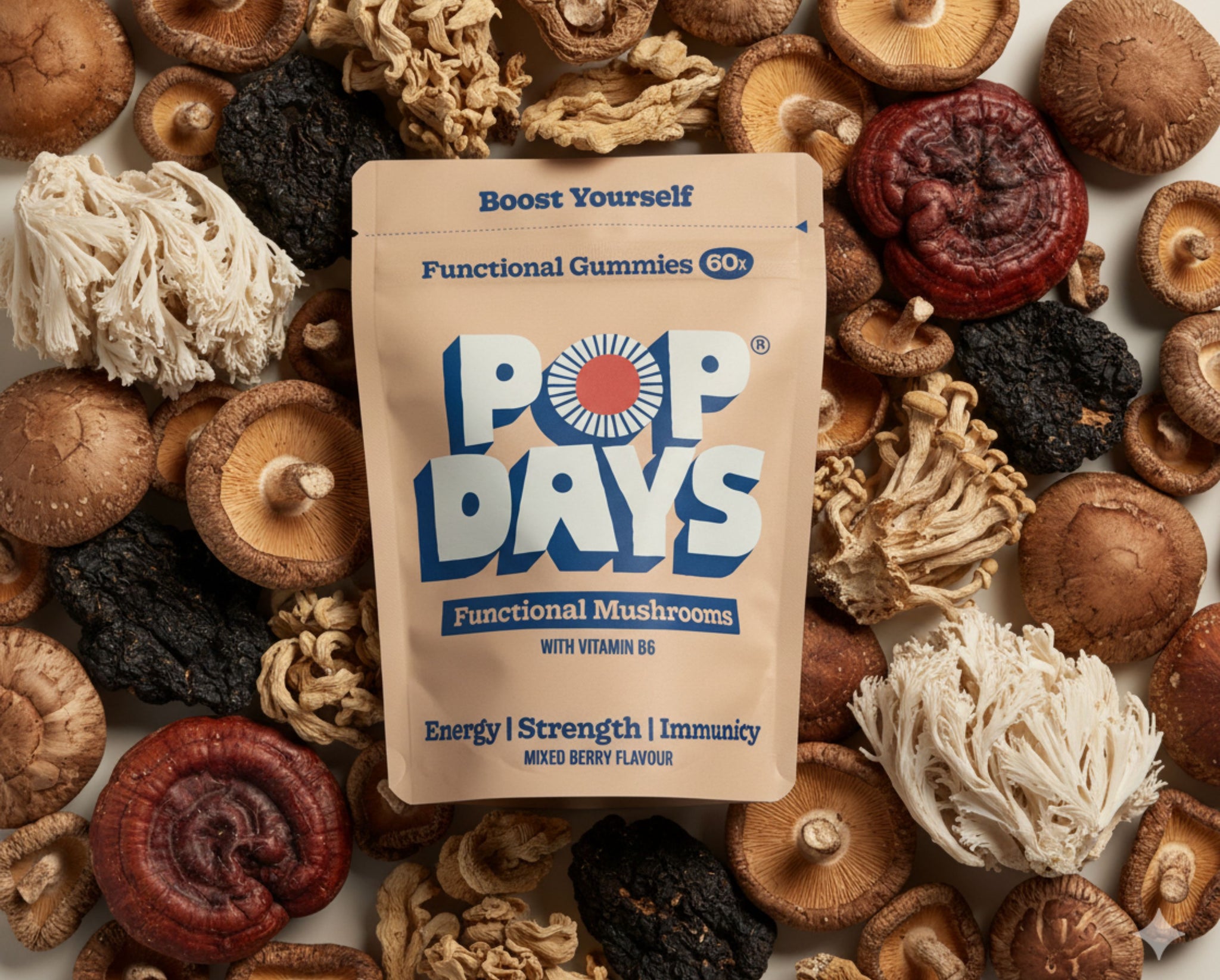 Focus Calm Boost Gummies Bundle